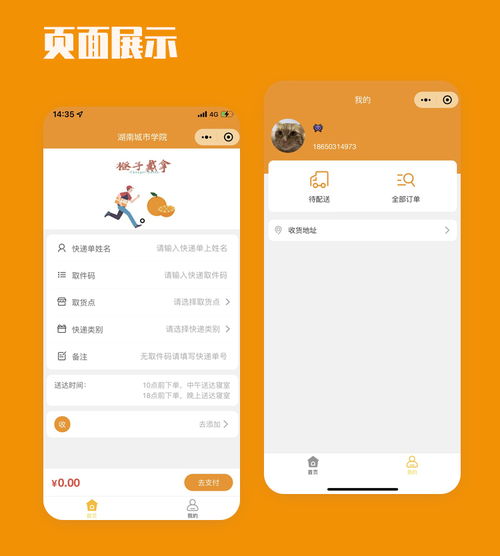 快递代拿与跑腿服务 一键代拿软件外包的新商机